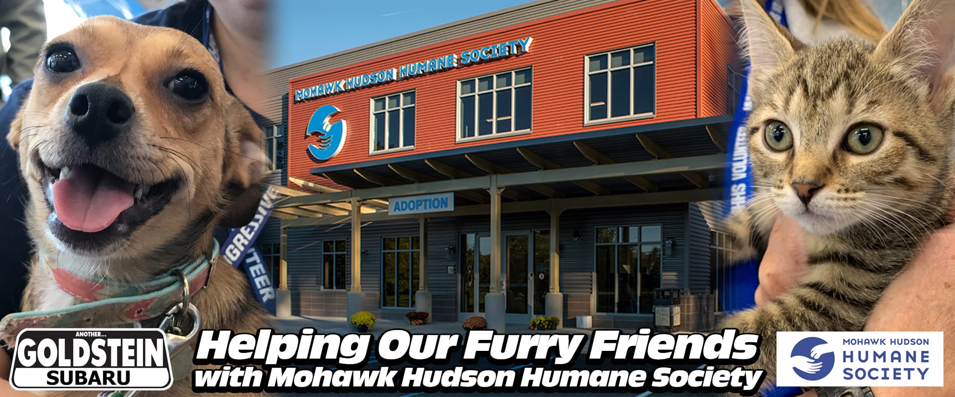 Goldstein Subaru of Albany, NY and Mohawk Hudson Humane Society Donations information