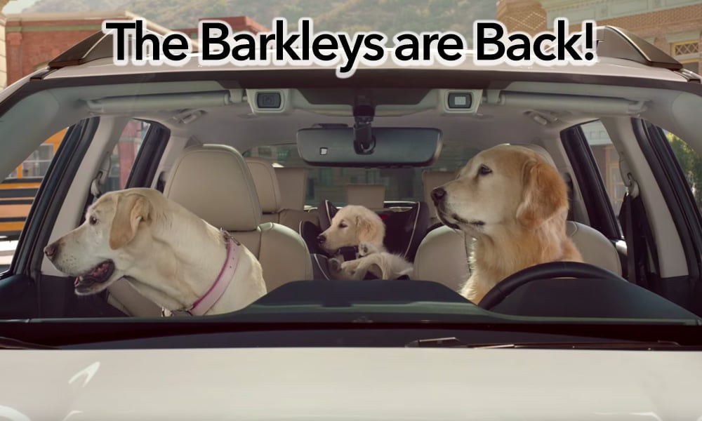 Dogs are looking out the windows of their Subaru in this TV commercial.