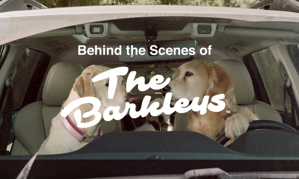 Dogs appearing in a series of TV commercials for Subaru vehicles.