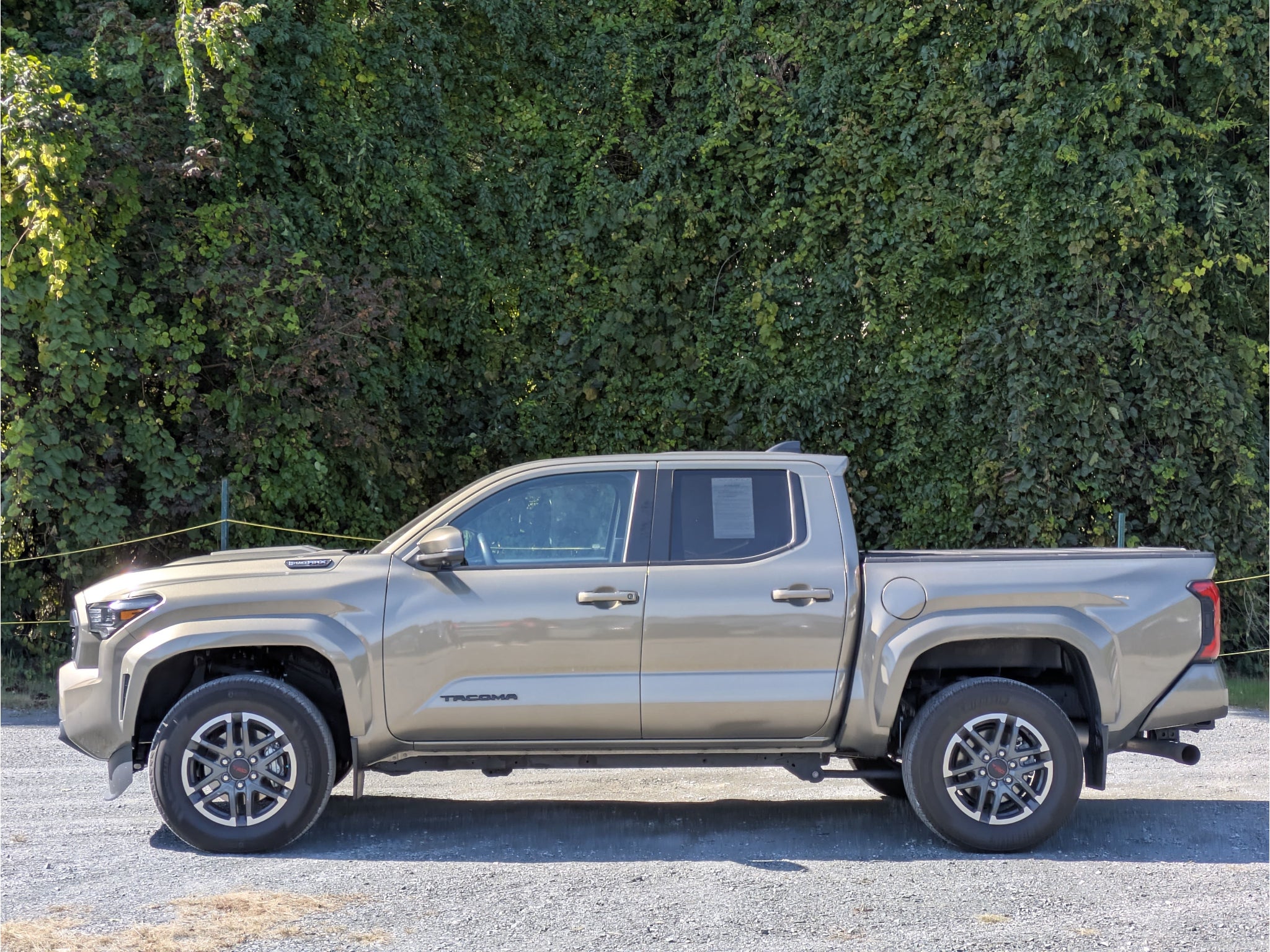 2024 Toyota Tacoma Hybrid TRD Sport Hybrid