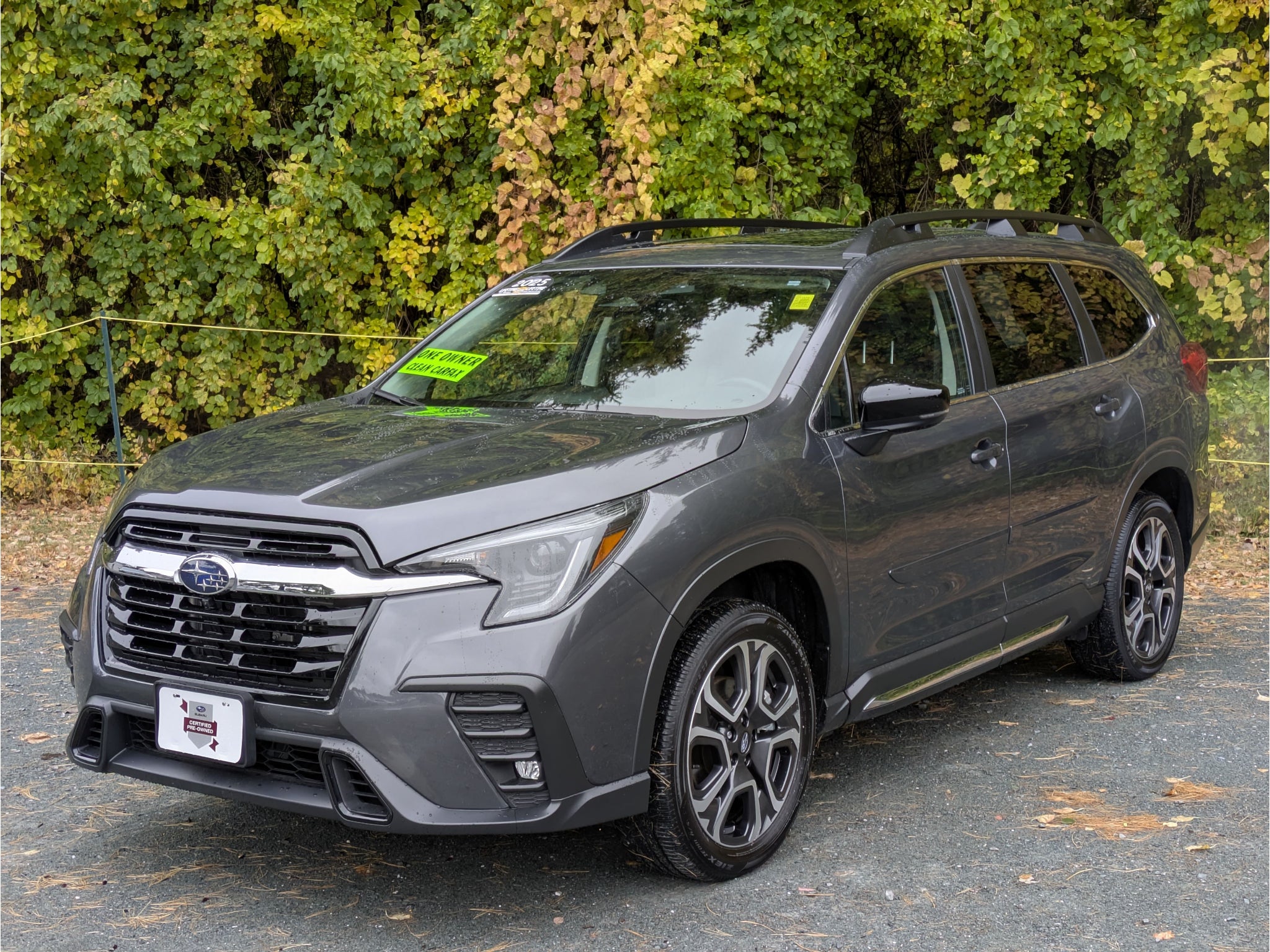 2025 Subaru Ascent Limited
