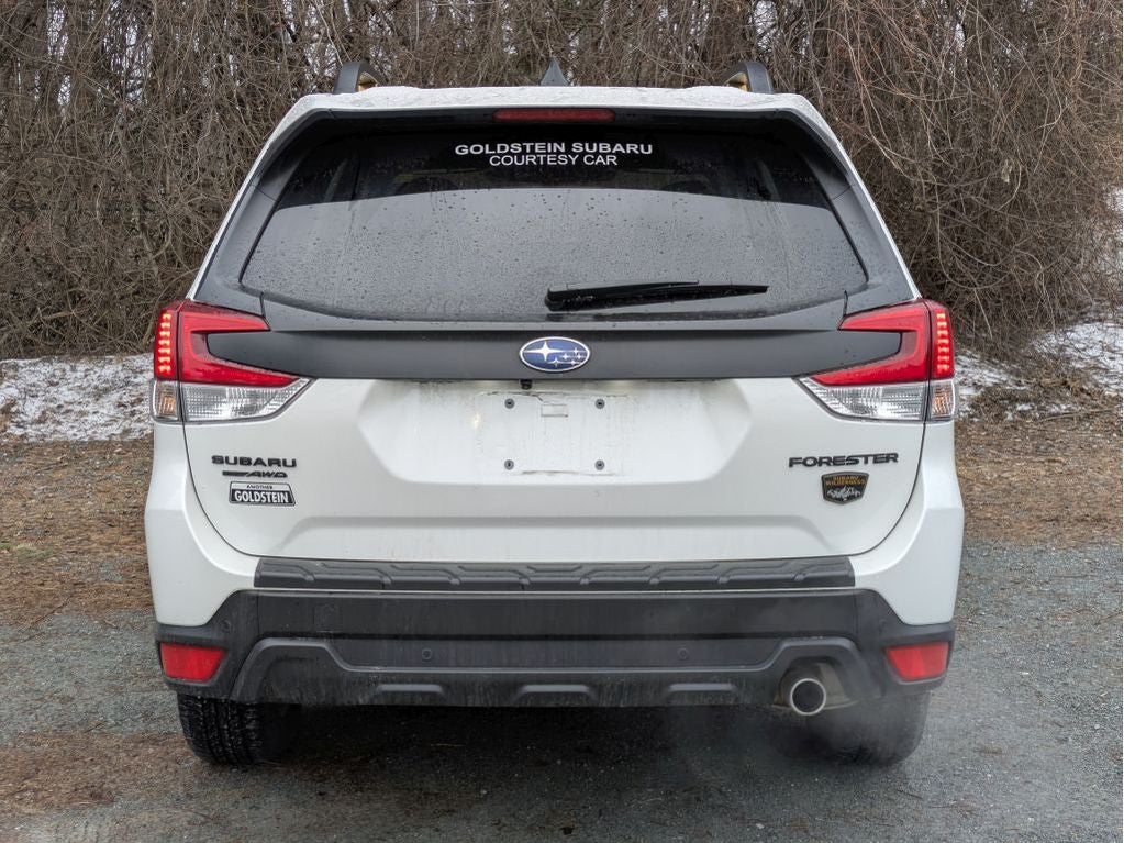 2025 Subaru Forester Wilderness