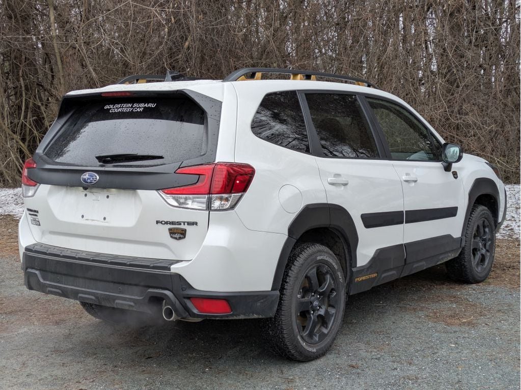 2025 Subaru Forester Wilderness