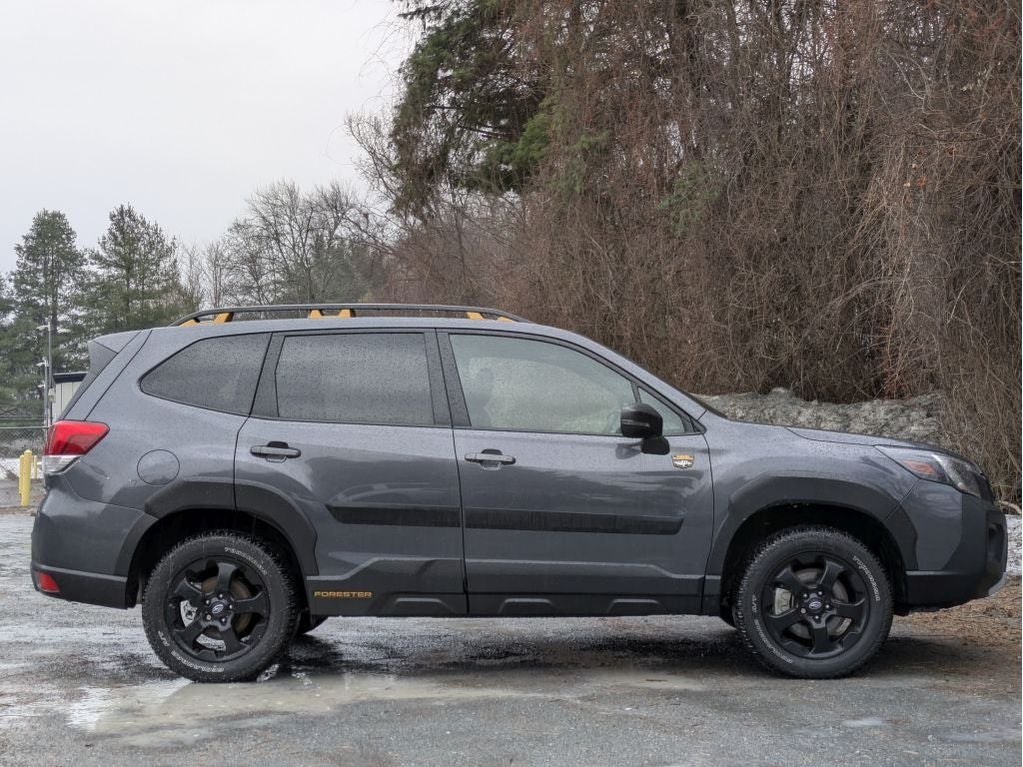 2025 Subaru Forester Wilderness