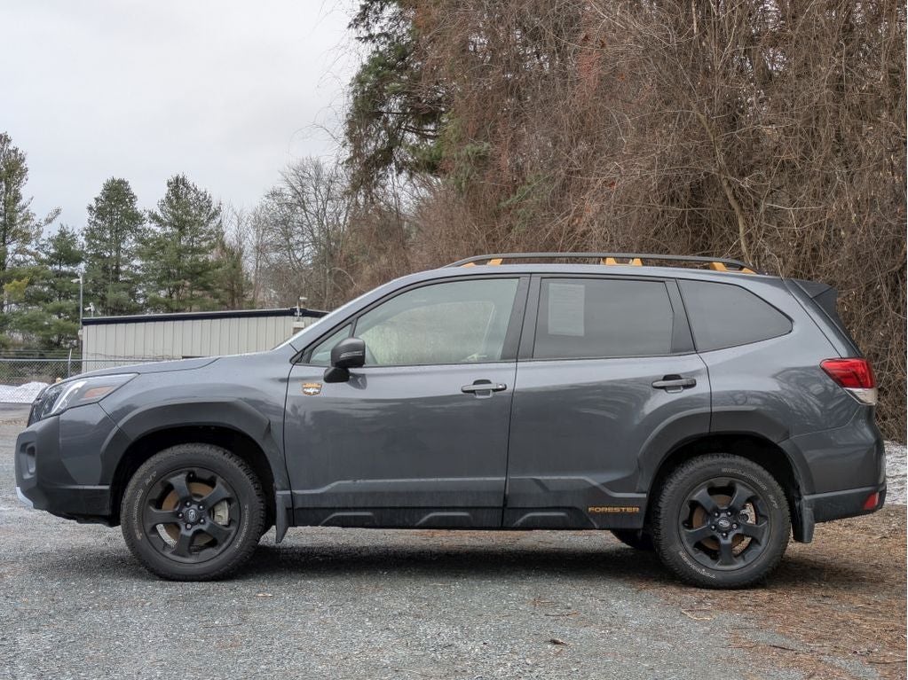 2025 Subaru Forester Wilderness