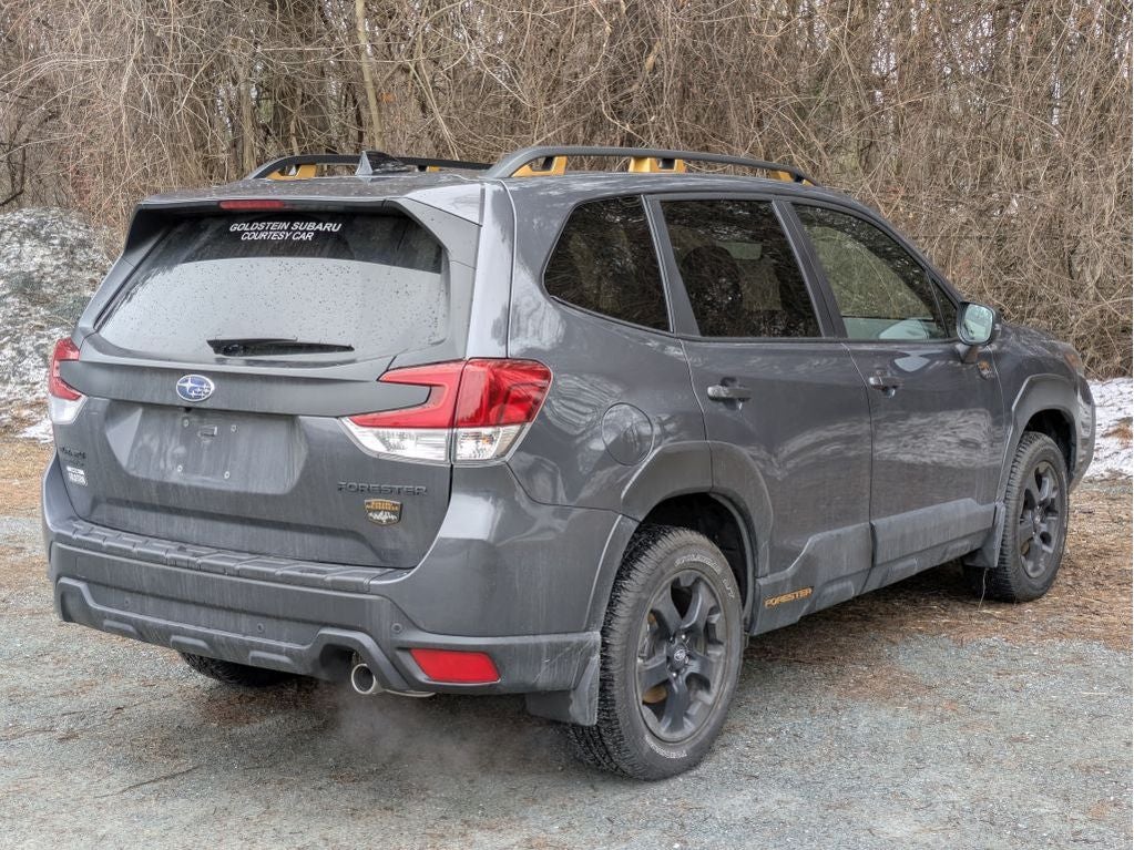 2025 Subaru Forester Wilderness
