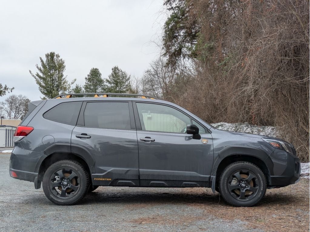 2025 Subaru Forester Wilderness
