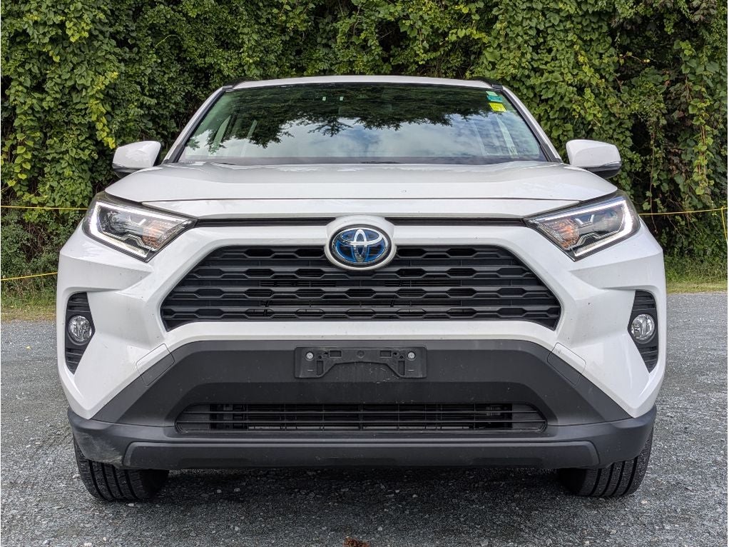 2019 Toyota RAV4 Hybrid XLE