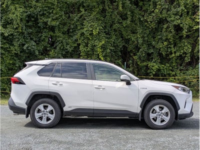 2019 Toyota RAV4 Hybrid XLE