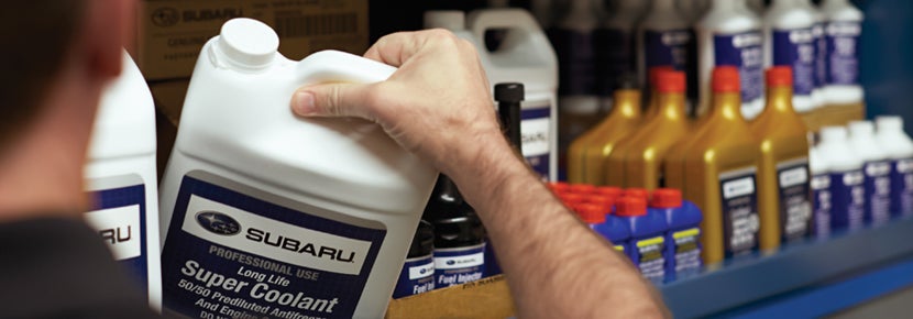 Picture of Subaru Super Coolant. | Goldstein Subaru in Colonie NY