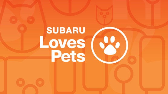 Goldstein Subaru in Colonie NY