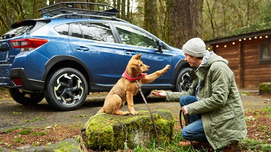 Goldstein Subaru in Colonie NY