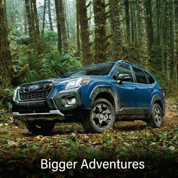 A blue Subaru outback wilderness with the words &ldquo;Bigger Adventures&ldquo;. | Goldstein Subaru in Colonie NY