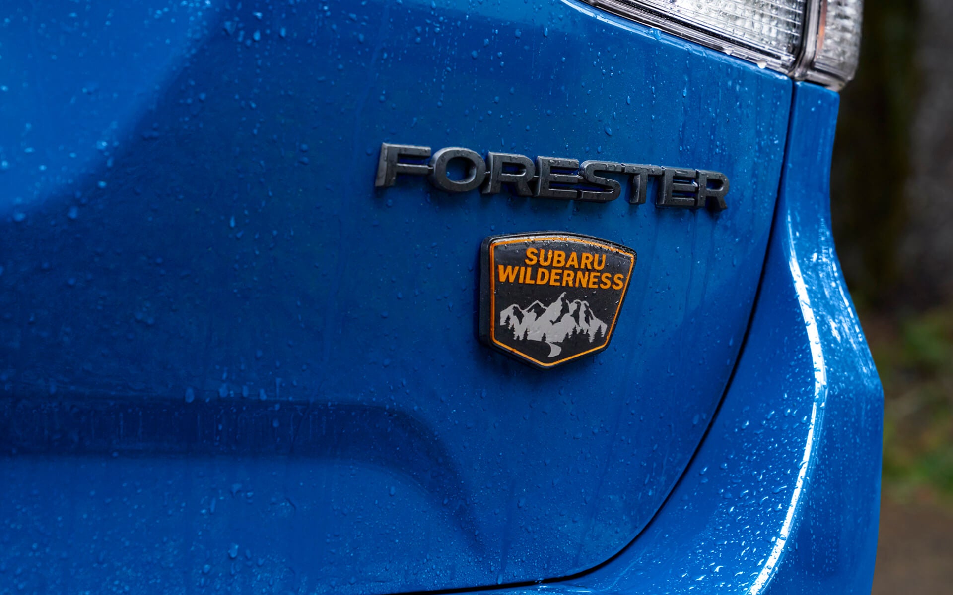 2022 Subaru Forester Wilderness | Goldstein Subaru in Colonie NY