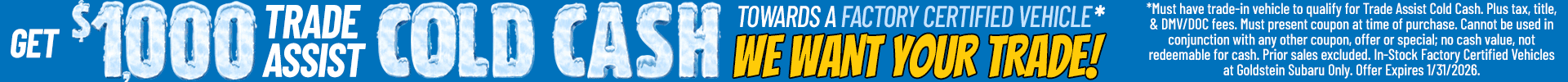 Goldstein Subaru Promo Banner